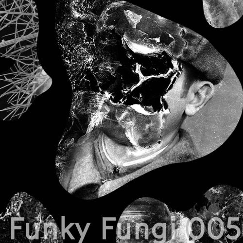 Funky Fungi 005