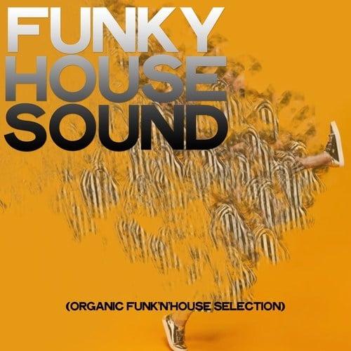 Various Artists-Funky House Sound