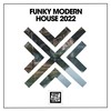 Funky Modern House 2022