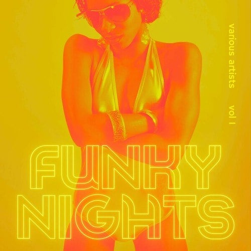 Funky Nights, Vol. 1