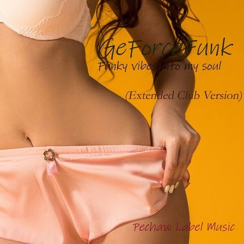 Geforcefunk-Funky Vibes into My Soul (Extended Club Version)