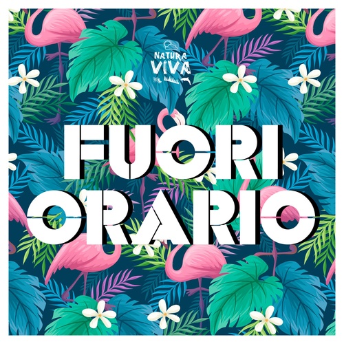 Various Artists-Fuori Orario