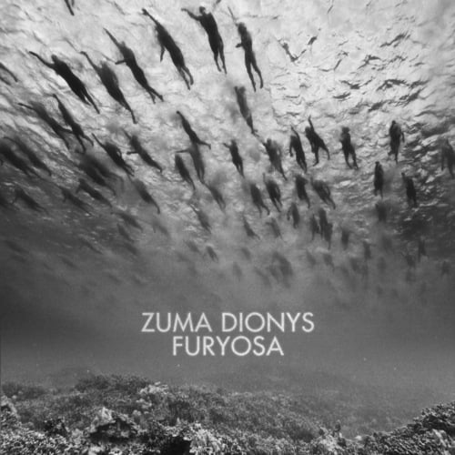 Zuma Dionys, Lukas Endhardt, Dj Amiga, KlangDruide, Caldrew-Furyosa