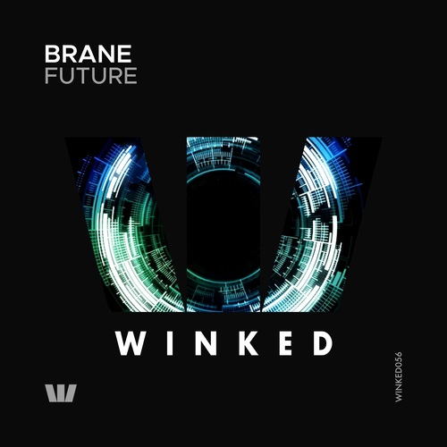 Brane-Future