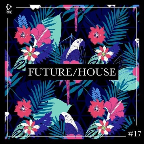 Various Artists-Future/House #17