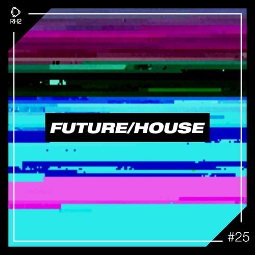 Various Artists-Future/House #25