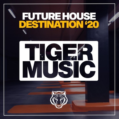 Various Artists-Future House Destination '20