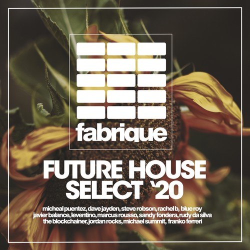Various Artists-Future House Select '20