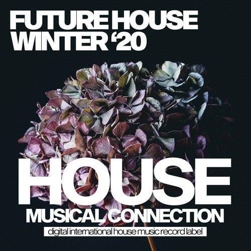Various Artists-Future House Winter '20