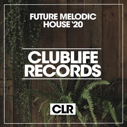 Various Artists-Future Melodic House '20