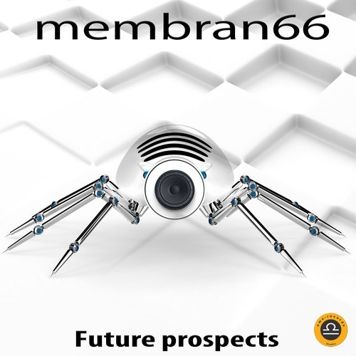 Membran 66-Future Prospects