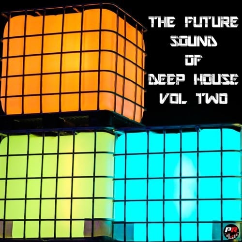 Various Artists-Future Sound of Deep House, Vol. 2