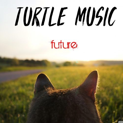 Turtle Music-Future