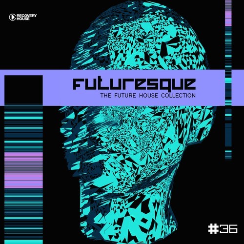 Various Artists-Futuresque - The Future House Collection, Vol. 36