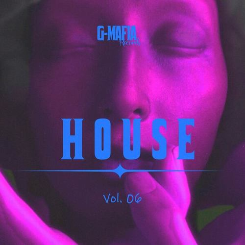 Various Artists-G-Mafia House, Vol. 06