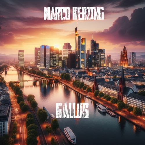 Marco Herzing-Gallus