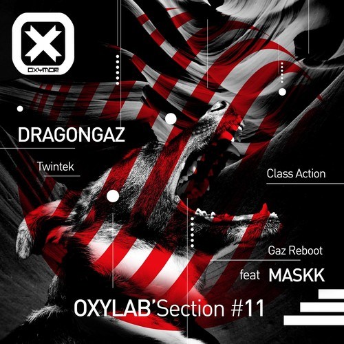 Dragongaz, Maskk-Gaz Reboot