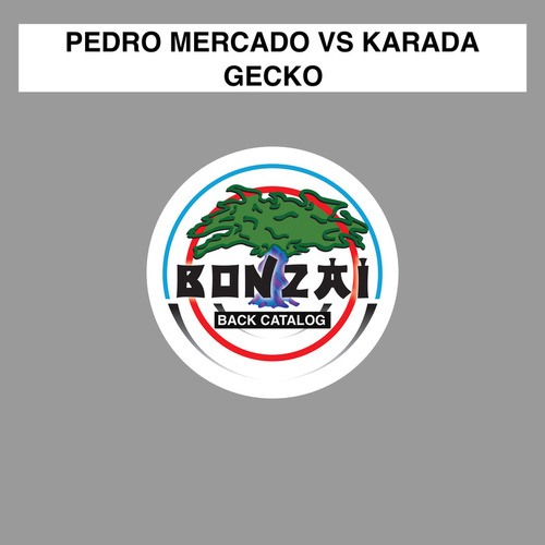 Pedro Mercado Vs Karada, Pedro Mercado, Karada-Gecko