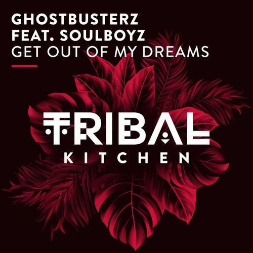 Ghostbusterz, Soulboyz-Get out of My Dreams
