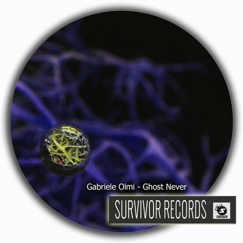 Gabriele Olmi-Ghost Never