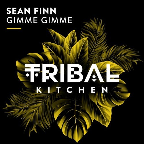 Sean Finn-Gimme Gimme (Extended Mix)