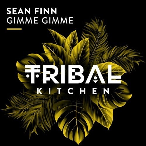 Sean Finn-Gimme Gimme