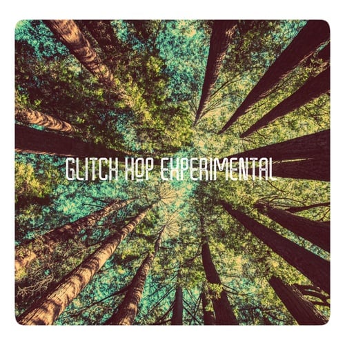 Various Artists-Glitch Hop Experimental