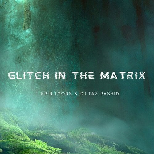 Erin Lyons, DJ Taz Rashid, DJ Akasha, The Great Medicine Show-Glitch In The Matrix