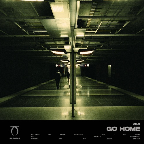 QDJI-Go Home