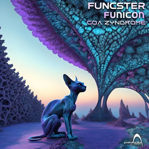 Funcster, Funicon-Goa Zyndrome