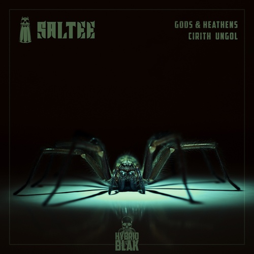 Saltee, Relyt MC-Gods & Heathens / Cirith Ungol