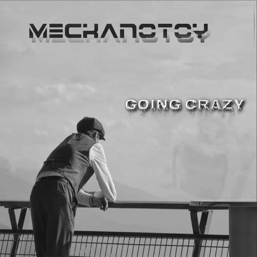 Meckanotoy-Going Crazy