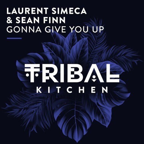 Laurent Simeca, Sean Finn-Gonna Give You Up (Extended Mix)