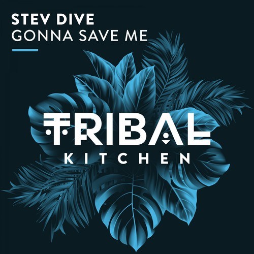 Stev Dive-Gonna Save Me