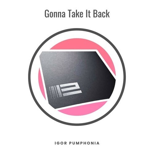 Igor Pumphonia-Gonna Take It Back