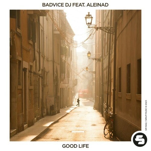 BadVice DJ, Aleinad-Good Life