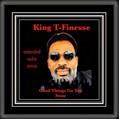 King T -Finesse, King T-Finesse-Good Things Go Too Soon