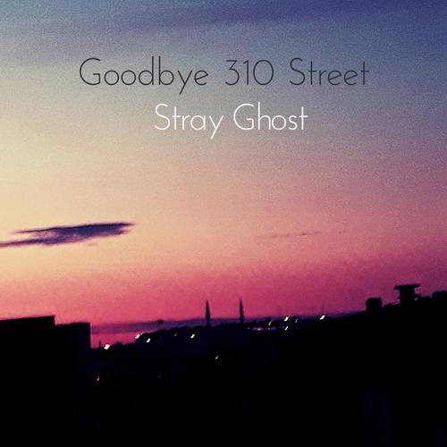 Stray Ghost-Goodbye 310 Street