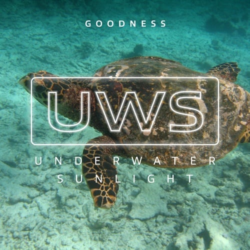 Underwater Sunlight-Goodness