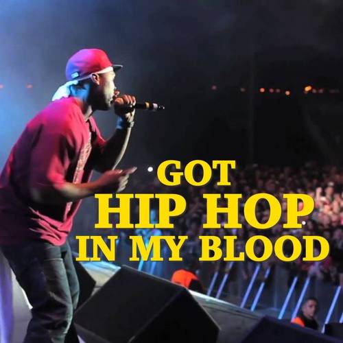 Various Artists-Got Hip Hop In My Blood