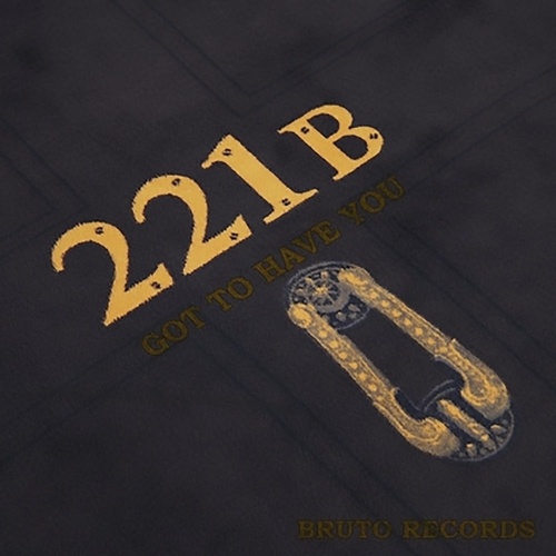 221B-Got To Have You