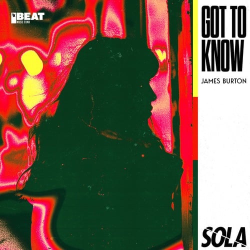 James Burton-Got to Know