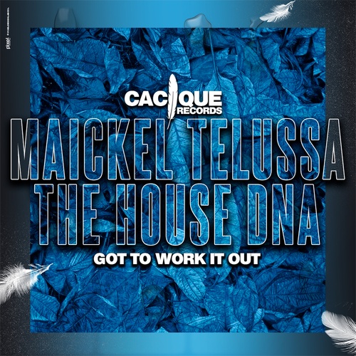 Maickel Telussa, The House DNA-Got to Work It Out