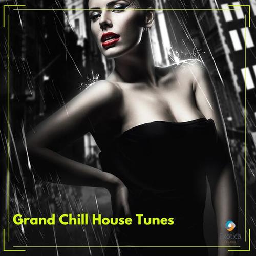 Various Artists-Grand Chill House Tunes