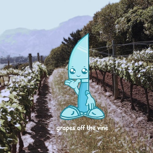 Bby Knife-grapes off the vine