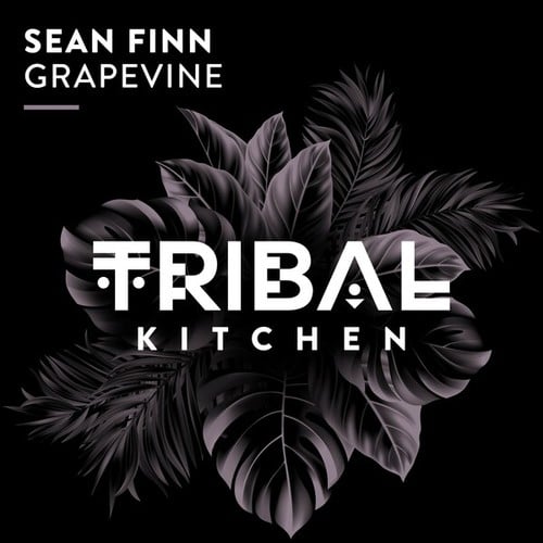 Sean Finn-Grapevine