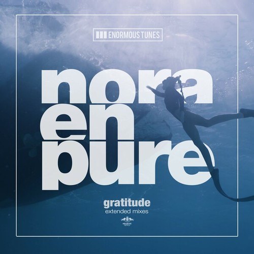 Gratitude (Extended Mixes)