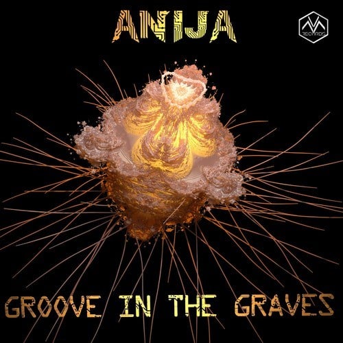 Anija-Groove in the Graves