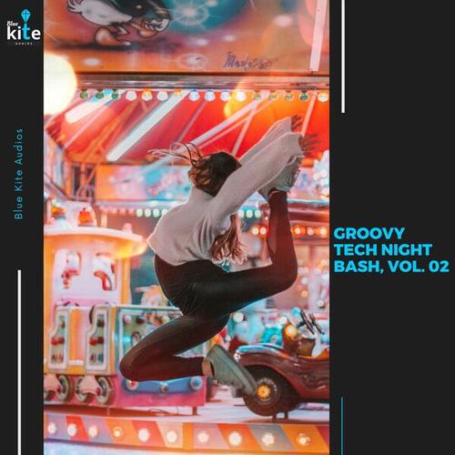 Various Artists-Groovy Tech Night Bash, Vol. 02