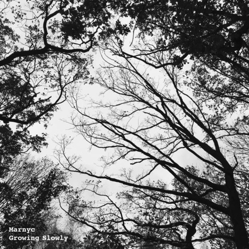 Marnyc, Ari Atai-Growing Slowly